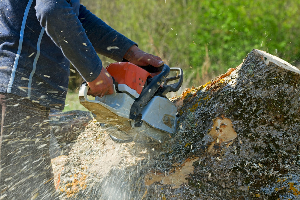 Tree Service Deming