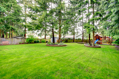 A view of a newly manicured backyard with trees in the background.