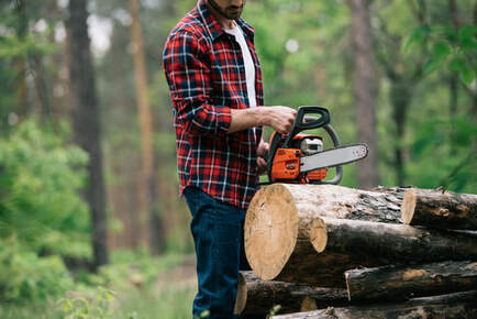 A man in a plaid shirt getting ready to use a chainsaw to cut tree.
