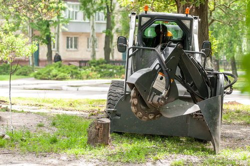 A tree stump removal machines getting ready to remove a protruding tree stump in a residential lawn.